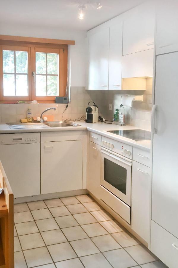 Apartment Haus Lotti Apt 203 By Interhome Schmitten  ภายนอก รูปภาพ
